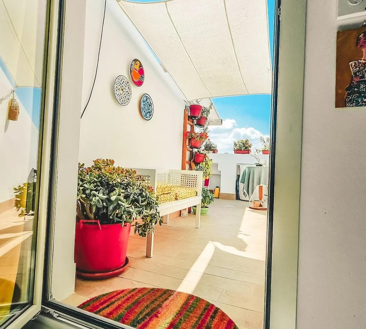Deliziosa Mansarda Con Terrazzo A 2 Passi Dal Lido Apartment Alghero